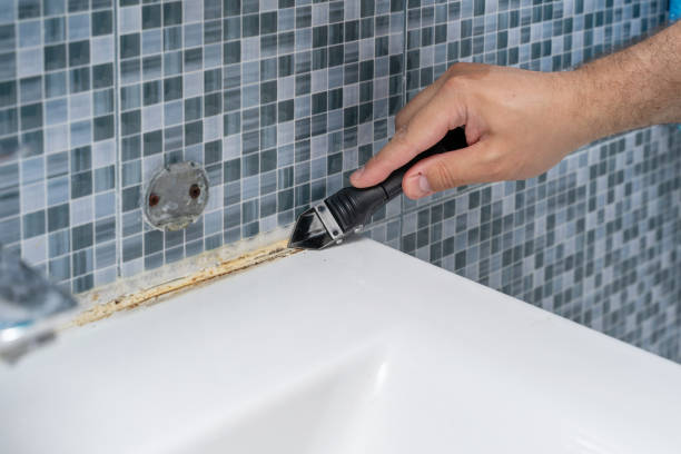 Best Mold Testing and Inspection Services in Spring Hill, TN